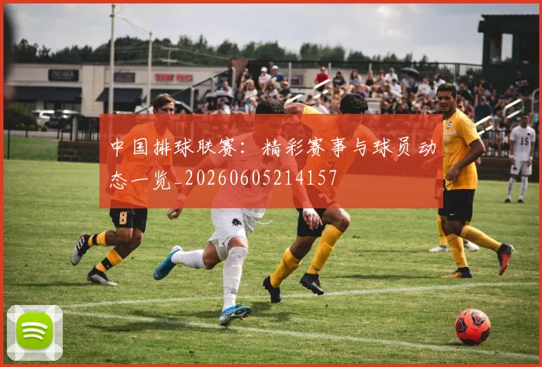 中国排球联赛:精彩赛事与球员动态一览_20260605214157