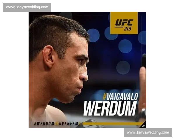 UFC 比赛结果：最新赛事战报与精彩瞬间